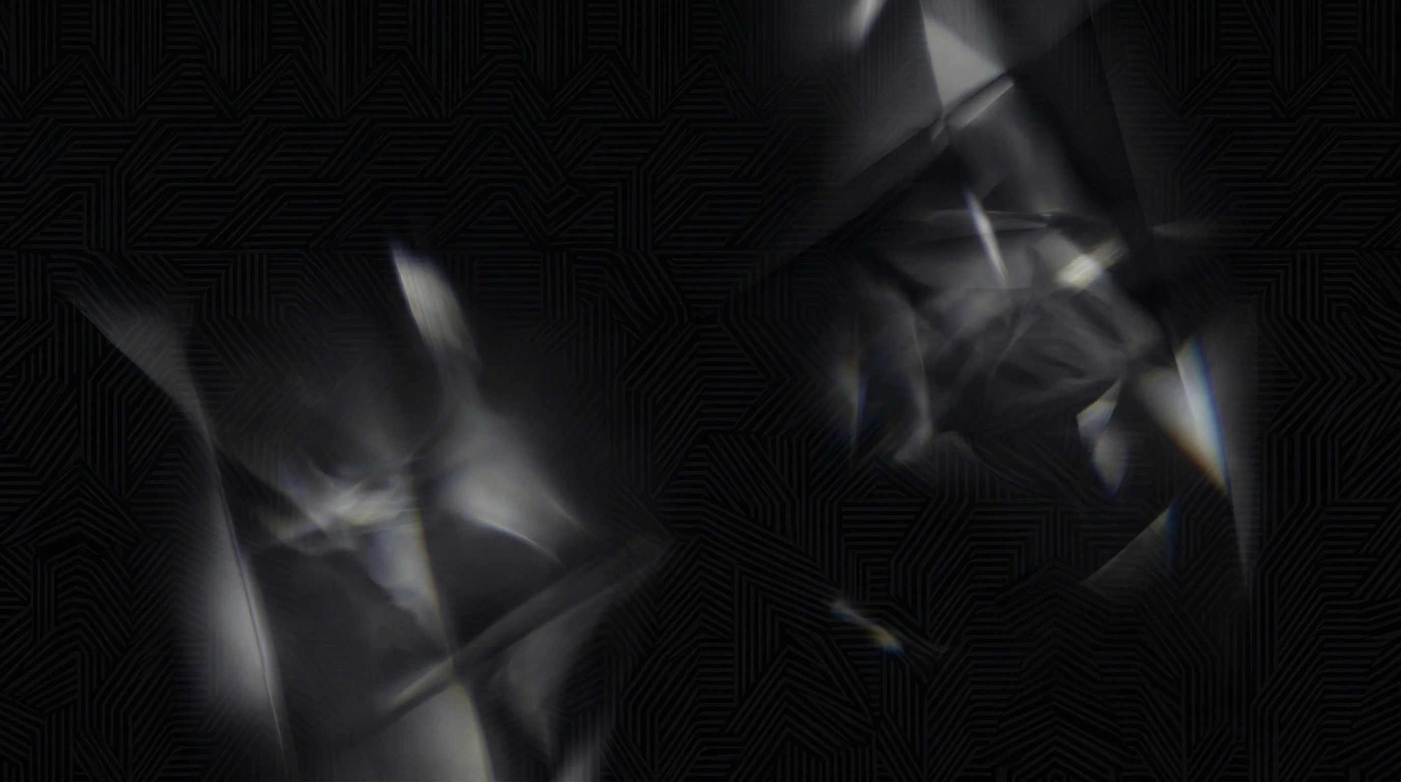 VEX Society vetted bull showroom